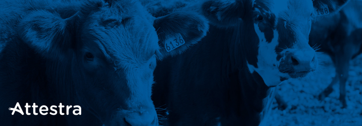 À propos d'Attestra À propos d'Attestra