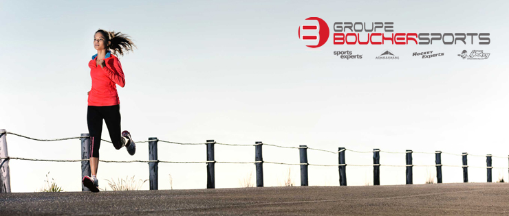 Contrôleur financier pour le Groupe Boucher Sports Contrôleur financier pour le Groupe Boucher Sports