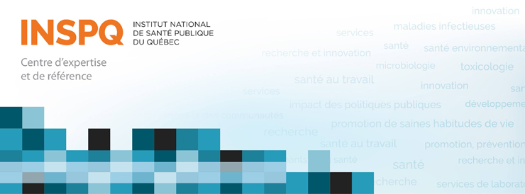 Directeur ou directrice - Direction des technologies de l’information - INSPQ Directeur ou directrice - Direction des technologies de l’information - INSPQ